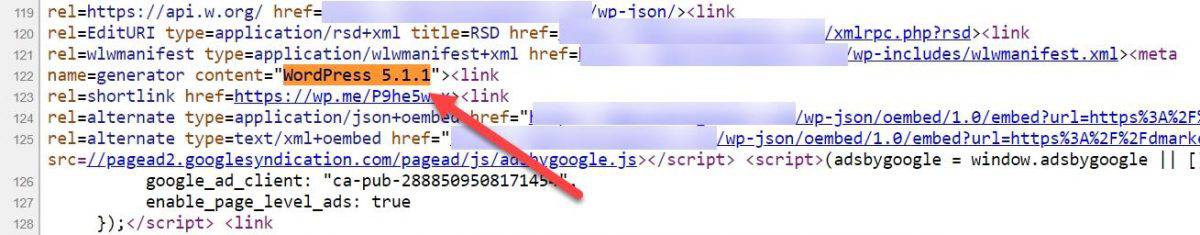 WordPress version in site's source code