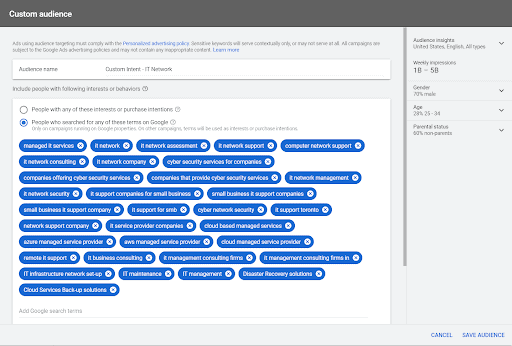 image showing an example of google ads audience targeting